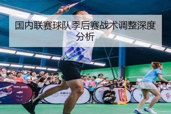 国内联赛球队季后赛战术调整深度分析