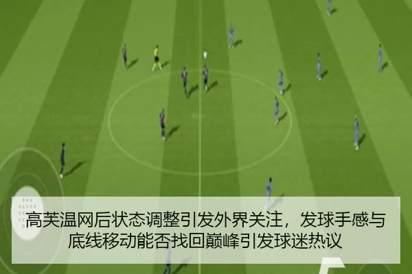 高芙温网后状态调整引发外界关注，发球手感与底线移动能否找回巅峰引发球迷热议
